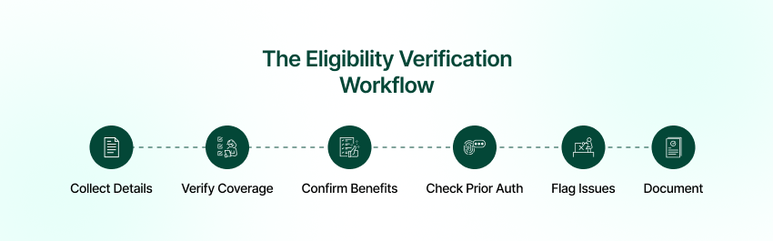 6-step eligibility verification workflow: collect, verify coverage, confirm benefits, check prior auth, flag issues, document